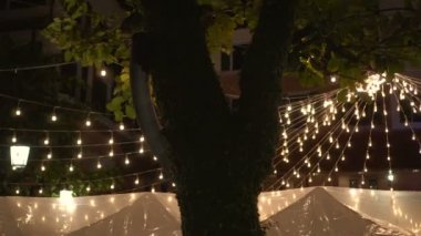 Festival ışık Park ağacında asılı ve beyaz çadır