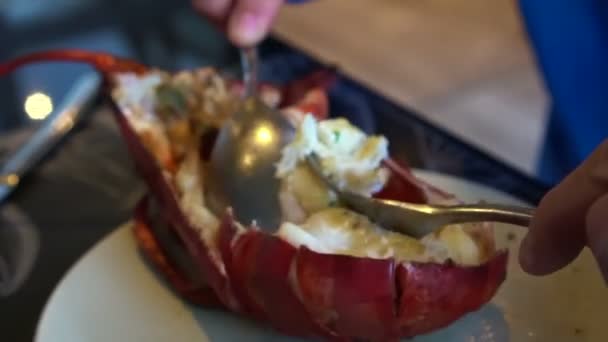 Hand Size Lobster Claw Photo Eating Social Trend — Stock Video