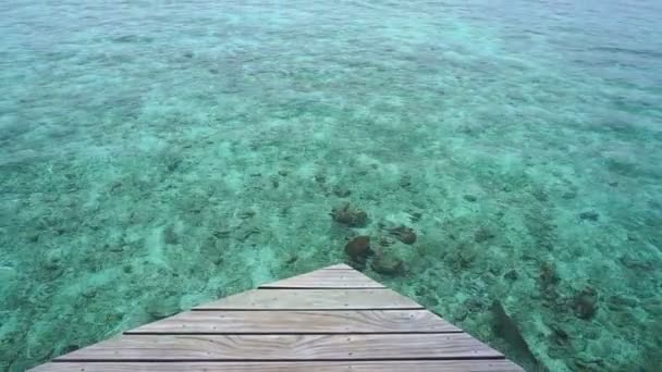 Μεγάλα Ψάρια Κολυμπούν Κάτω Από Πολυτελές Θέρετρο Στις Μαλδίβες — Αρχείο Βίντεο