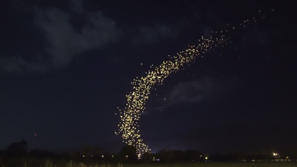 Hermosa Cola Linternas Flotando Cielo Nocturno Loi Krathong Festival Tailandia — Vídeo de stock