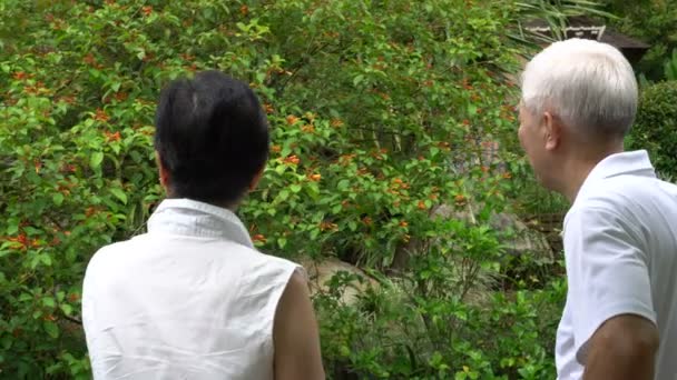 Asian Senior Couple Looking Butterflies Flower Garde Together — Stock Video