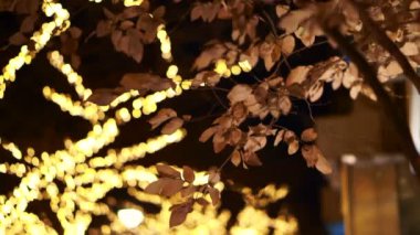 Japon Noel gecesi aydınlatma ağacı romantik görünüm görme