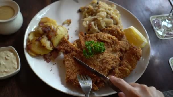 Comer Cerdo Schnitzel Austria Cocina Carne Maltratada Con Chucrut Patatas — Vídeos de Stock