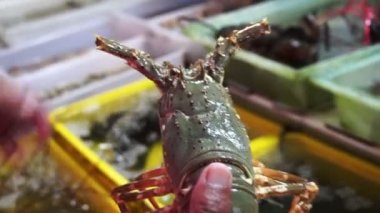 Taze canlı deniz ürünleri büyük dikenli ıstakoz Phuket Tayland 'da satıyor.