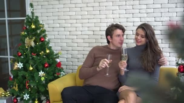 幸せな白いカップルはクリスマス休暇のお祝いを飲む — ストック動画