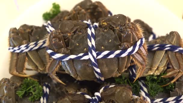 Żywy Chiński Przysmak Szanghaj Owłosione Kraby Jesienne Kulinarne Owoce Morza — Wideo stockowe
