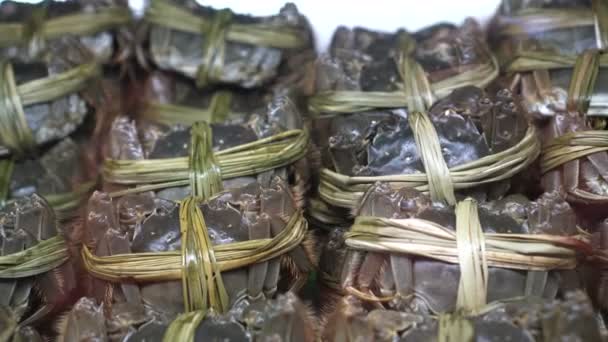 上海毛绒螃蟹中秋佳肴季节性海鲜在冰冷的冰箱里 — 图库视频影像
