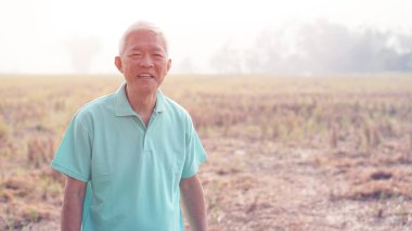 Sezon sonunda hasat edilen Asyalı yaşlılar ve çiftlikleri.
