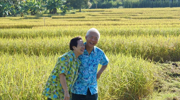 Happy Asian Elderly Farmer Business Owner Modern Technology Help Agricultural — Stock Photo, Image