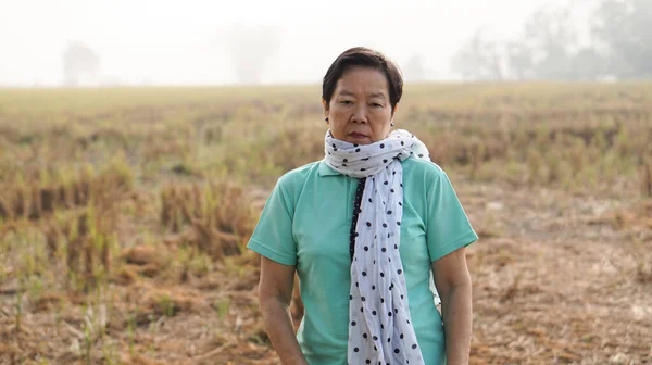 Asiatische Senioren Mit Ihrem Bauernhof Nach Der Ernte Ende Der — Stockfoto