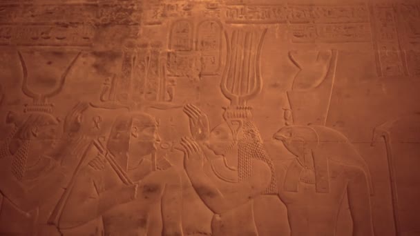 Egipto Templo Kom Ombo Grabado Pharoah Dioses Pared Arenisca — Vídeo de stock