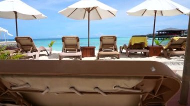 Erişteli kazlar Hong Kong yemeklerini birlikte yiyorlar.