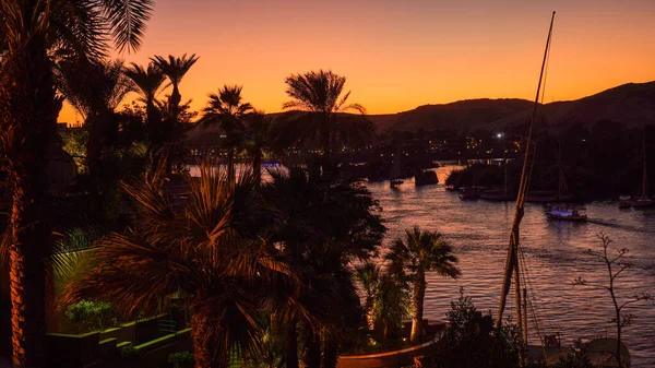 Nile River Bank Egypt Sunset Orange Sky Palm Tree Sand — Stock Photo, Image