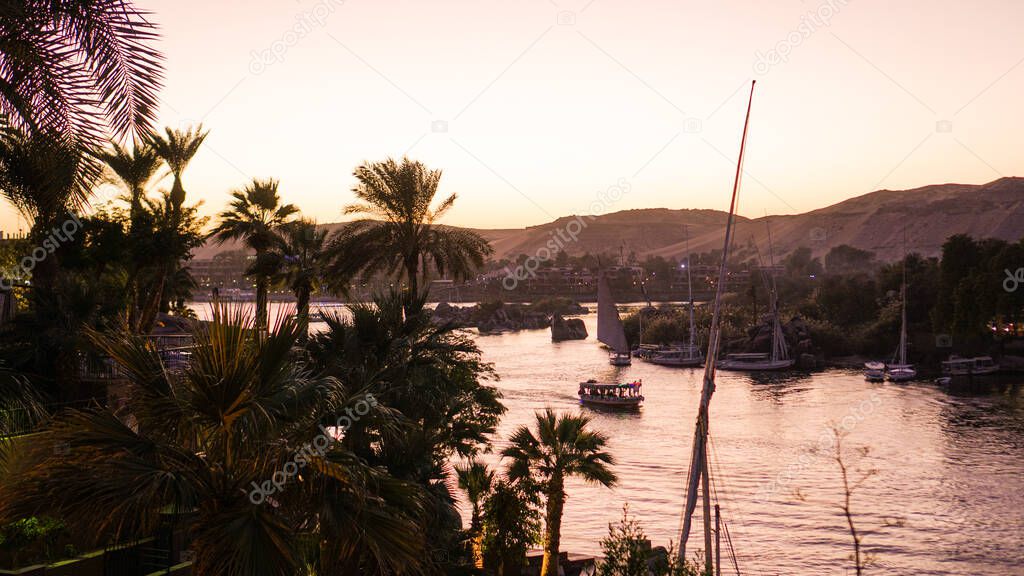 Nile river bank in Egypt sunset orange sky and palm tree with sand dessert slope in the back