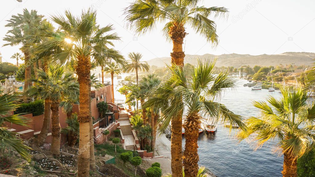 Nile river bank in Egypt sunset sky and palm tree with sand dessert slope in the back