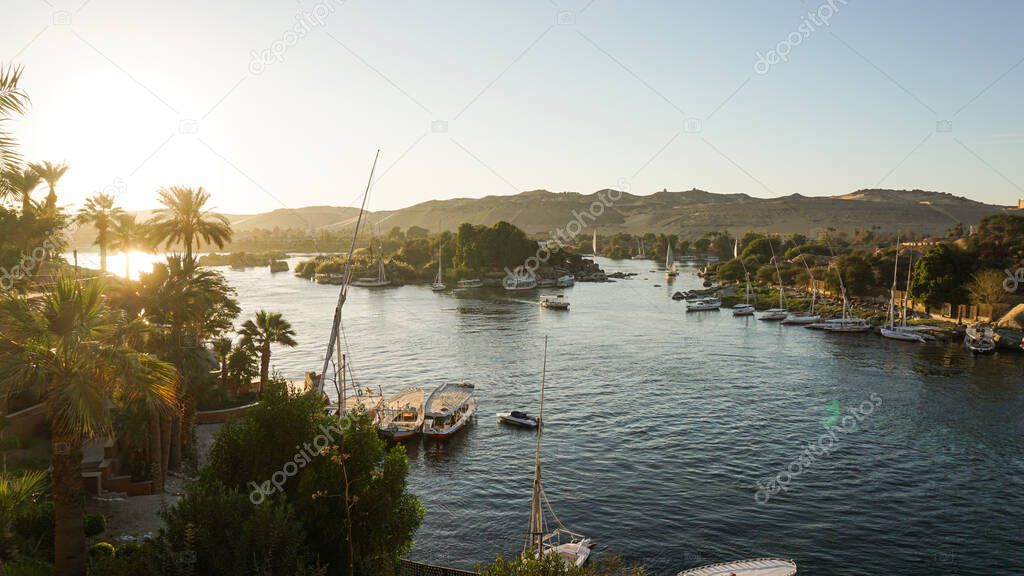 Nile river bank in Egypt sunset sky and palm tree with sand dessert slope