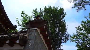 Kore geçişli ev mimarisi tarzı mahalle alçak açılı çam ağaçları