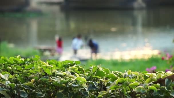 Sudeste Asiático Niños Estilo Vida Jugando Por Río Atardecer Alrededor — Vídeos de Stock