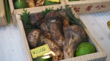 Piyasada Matsutake mantarı satışı pahalı mevsimlik Japon mutfağı malzemeleri