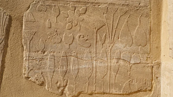 Câmara Botânica Templo Karnak Hieroglífico Plantas Exóticas Pássaros — Fotografia de Stock