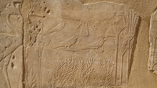 Botanical Chamber Temple Karnak Hieroglyphic Exotic Plants Birds Wall — Stock Photo, Image