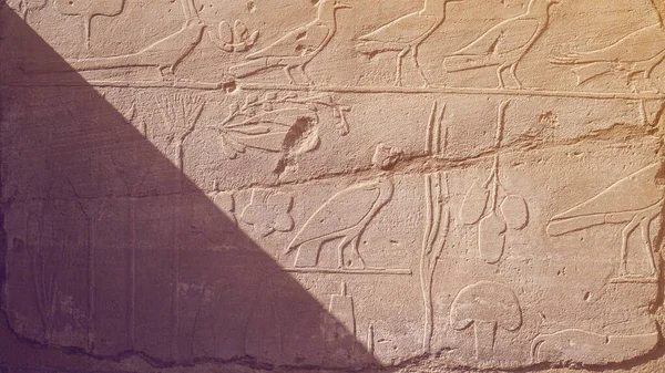 Botanical Chamber Temple Karnak Hieroglyphic Exotic Plants Birds Wall — Stock Photo, Image