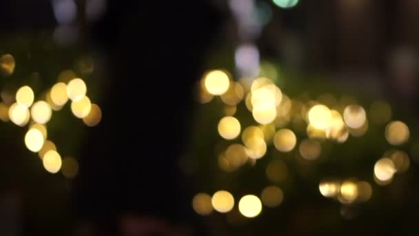 Vánoční Světlo Dekorace Tokyo Parku Rozostření Výstřel — Stock video