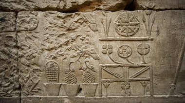 Edfu HOrus tapınağında Mısır hiyeroglifleri bol yiyecek kaynaklarını, mısır üzümü kültürünü, mutfak kaplarını ve kavanozları gösteriyor.