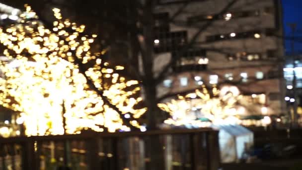 ぼかし東京日本中目黒運河や電車の橋の下に映るクリスマスライトツリー — ストック動画