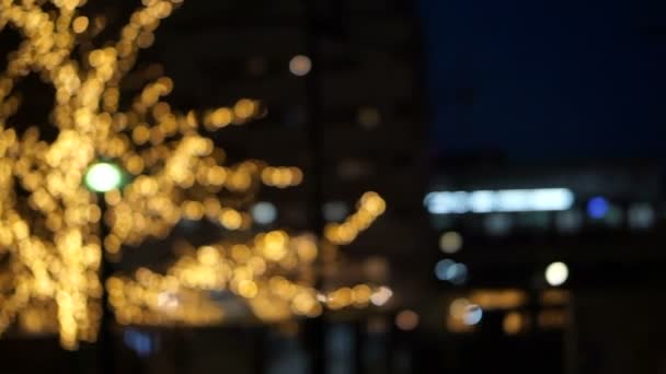 Tokyo Japan Nakameguro Kerst Lichtboom Verlichten Reflecteren Onder Kanaal Trein — Stockvideo