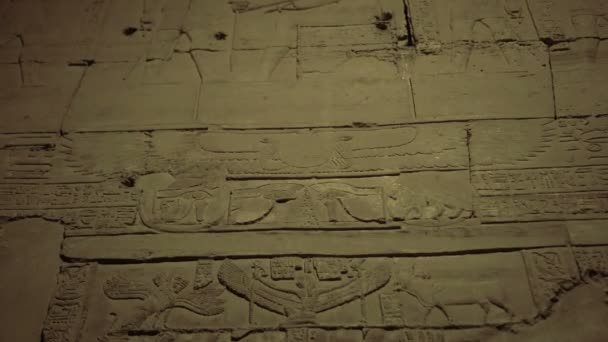 アスワンのナイル川沿いのコムオンボ神殿エジプトのファルコン ハロエリスとクロコダイル ソベク神ヒエログリフ — ストック動画