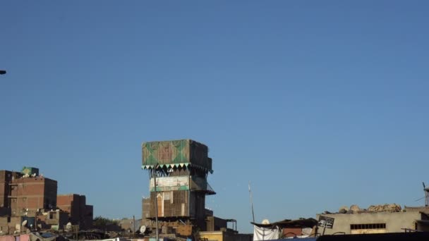 Cairo Egito Torre Fazenda Pombos Para Reprodução Telhado Prédio Apartamentos — Vídeo de Stock