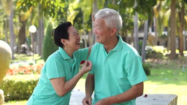 Azji Starszy Para Relaks Naturalnym Parku Kwiat Zabawy Szczęśliwy Śmiech — Wideo stockowe