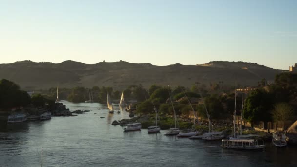 Vacker Solnedgång Aswan Nilen Flod Med Felluca Segel Scen Skyline — Stockvideo