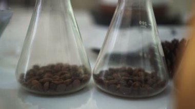 Kavrulmuş kahve çekirdekleri cam dilenci bilimi konseptinde