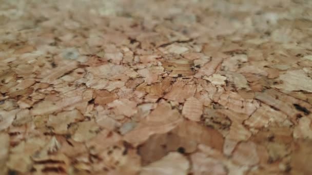 Korkblech Holz Partikelmaterial Textur Nahaufnahme Schuss Für Kopierraum — Stockvideo