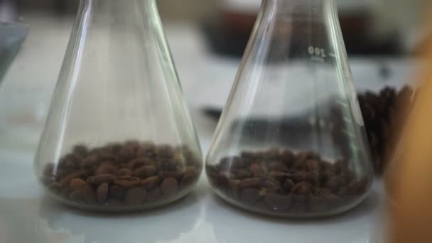 Grãos Café Torrados Conceito Ciência Pedinte Vidro — Vídeo de Stock