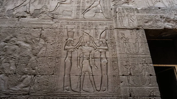 Mısır Hiyeroglif Tanrı Yüzü Edfu Horus Tapınağının Duvarında Yok Edildi — Stok fotoğraf