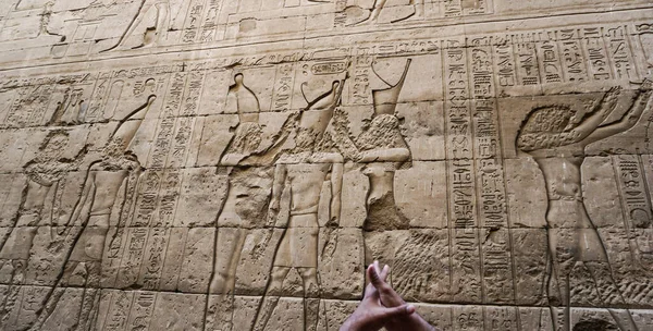Egyiptomi Hieroglifikus Istenarc Megsemmisült Edfu Horus Templom Falánál — Stock Fotó