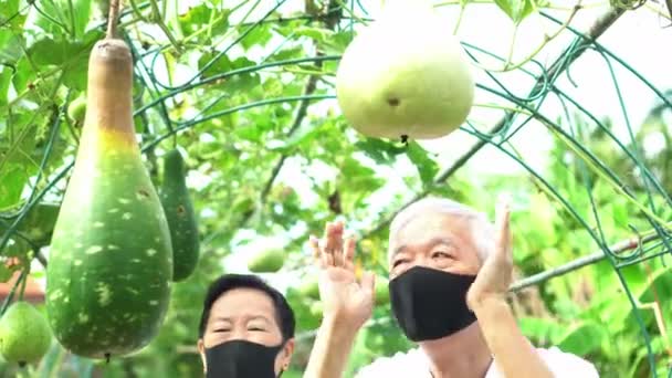 의료용 마스크를 아시아의 부부가 겨울용 잡화점 사업을 — 비디오