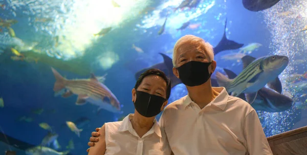 Underwater Tunnel Aquarium Asian Senior Elder Couple Wear Mask Dating — Stock Photo, Image
