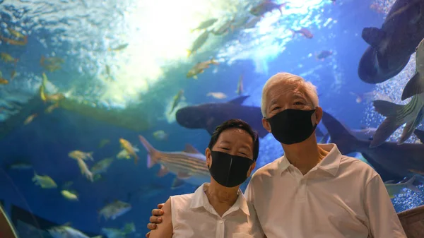Underwater Tunnel Aquarium Asian Senior Elder Couple Wear Mask Dating — Stock Photo, Image