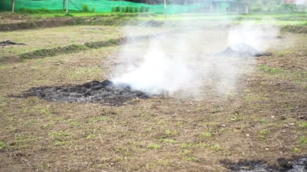 Contaminación Por Quemaduras Granja Campo Arroz Argricultural Crear Niebla Aire — Vídeos de Stock