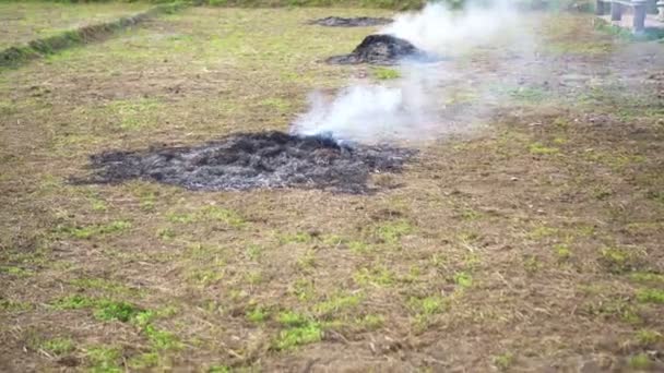 Contaminación Por Quemaduras Granja Campo Arroz Argricultural Crear Niebla Aire — Vídeos de Stock