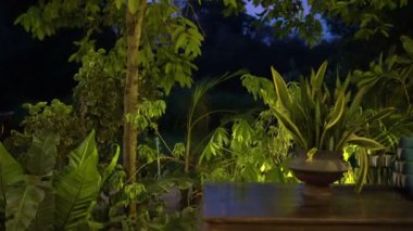 Memleketteki yemyeşil tropik bahçe için ışıklandırma tasarımı