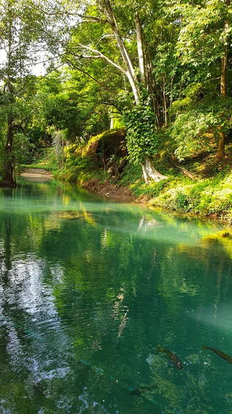 Bellissimo Lago Naturale Verde Smeraldo Thailandia Foresta Pluviale Tropicale Lussureggiante — Foto Stock