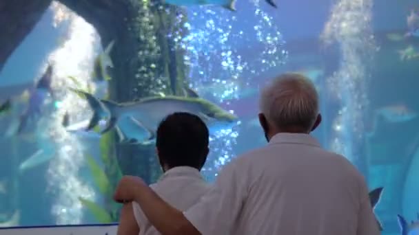 アジアシニアカップル日付で水族館新しい通常の状態とともにマスク楽しい旅一緒に — ストック動画