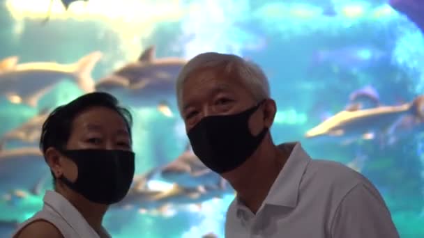 Asiatique Couple Âgé Nouvelle Normale Sortir Ensemble Tunnel Aquarium Belle — Video