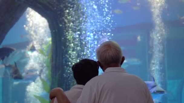 アジアのシニアカップル新しい通常のデートで水族館トンネル美しいです水中感じ — ストック動画