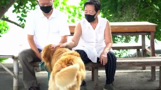 Asyalı Yaşlı Çift Akvaryumda Birlikte Eğleniyor — Stok video